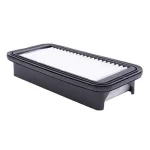 Фильтр воздушный 1109101XS16XB