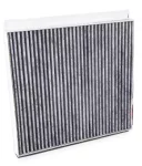 Фильтр салона Угольный 10031849