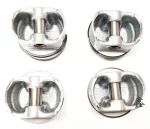 Поршня стандартные+кольца 10050893