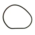 Прокладка водяного насоса PET10010