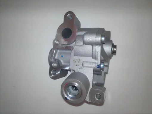 Масляный насос 10013640