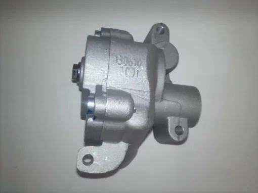 Масляный насос 10013640