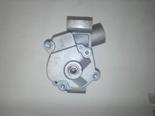 Масляний насос 10013640