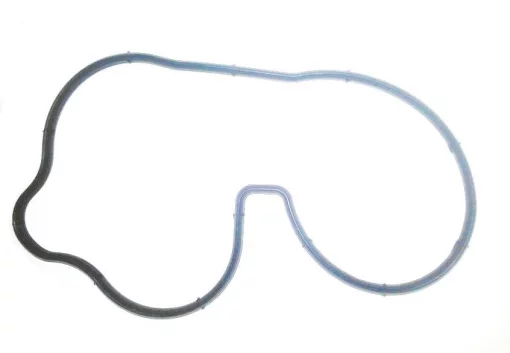 Прокладка корпусу термостата 10013852