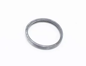 Прокладка термостата 80С 10013854