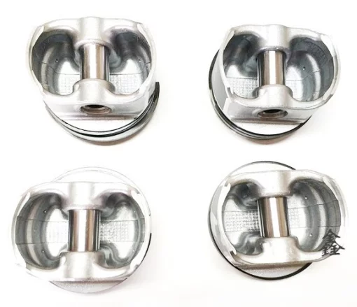 Поршня стандартні+кільця 10050893