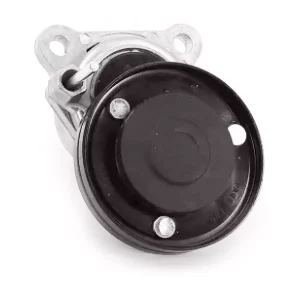 Натяжитель ремня ГУР 710000491 PQG100180